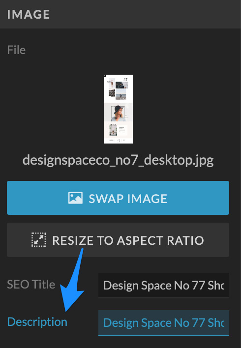 A screenshot of how to add Alt Descriptions for images to help SEO for Showit web pages