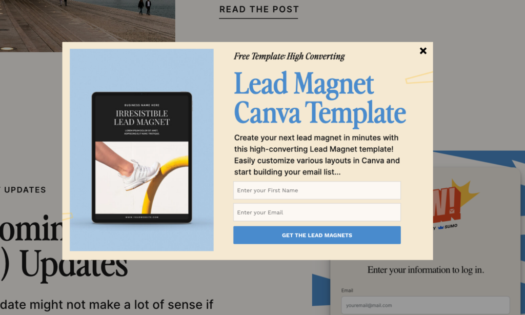 Create a lead magnet