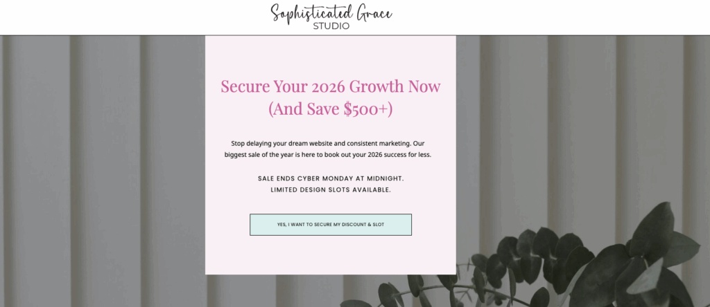 Screenshot 2025-11-18 at 113339 AM - Showit